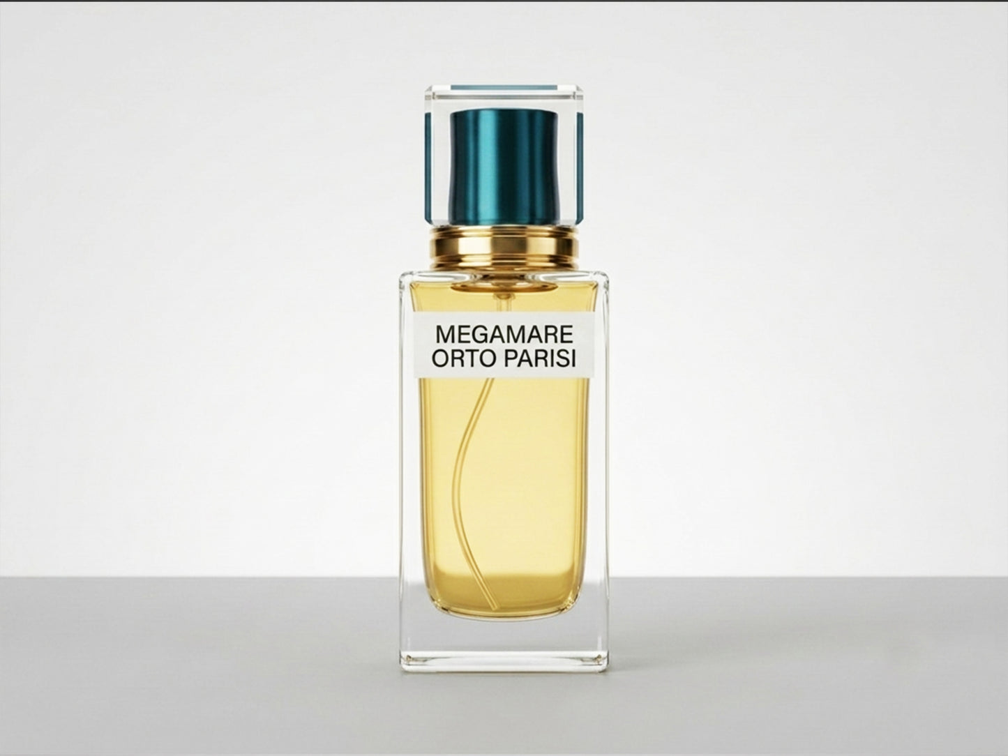 MEGAMARE ORTO PARISI