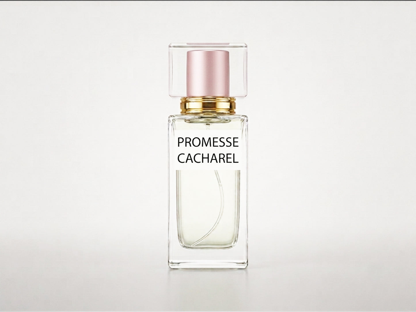 PROMESSE CACHAREL