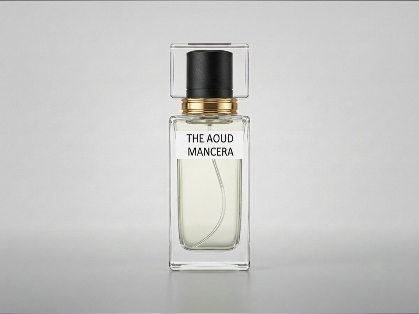 THE AOUD MANCERA