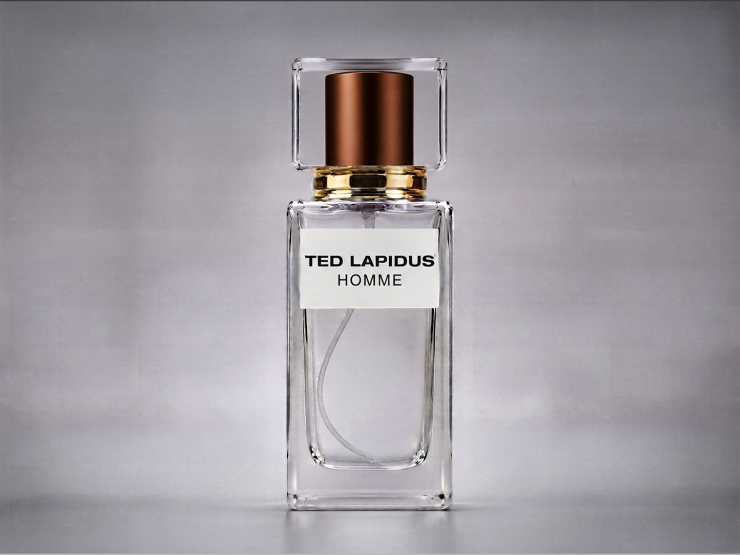 TED LAPIDUS HOMME